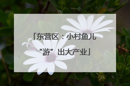 东营区：小村鱼儿“游”出大产业